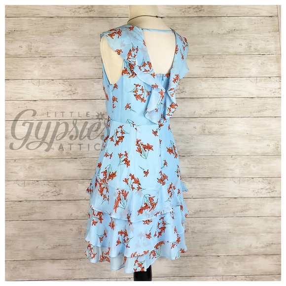 Little Blue Autumn Cottagecore Dress - Picture 6 of 6